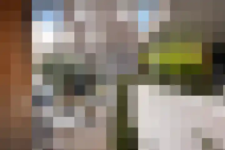 Werf van Montan 2 Dordrecht thumbnail 25