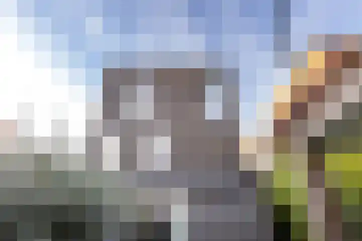 Werf van Montan 2 Dordrecht thumbnail 26