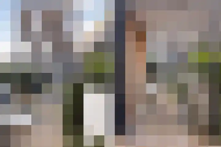 Werf van Montan 2 Dordrecht thumbnail 27