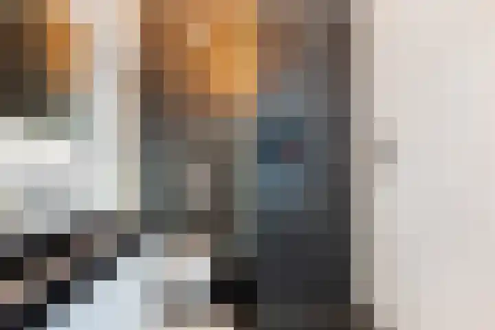 Werf van Montan 2 Dordrecht thumbnail 33