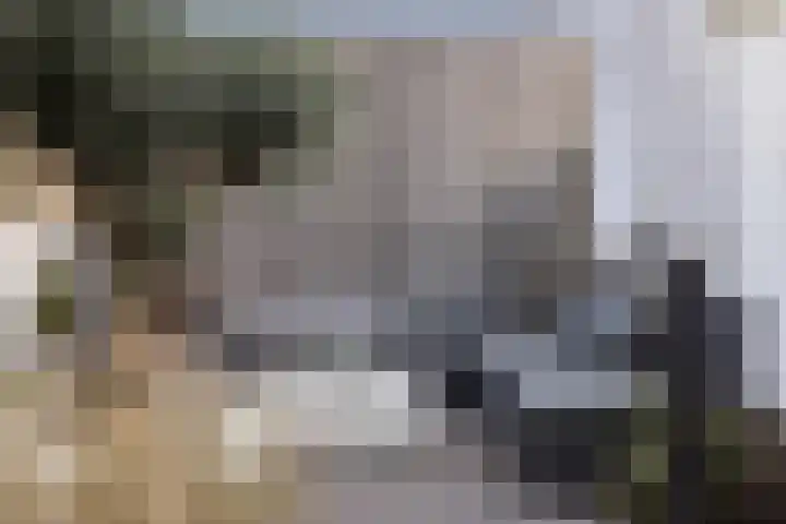 Werf van Montan 2 Dordrecht thumbnail 4