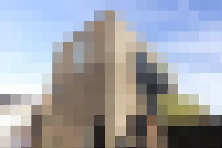 Werf van Montan 2 Dordrecht thumbnail 6