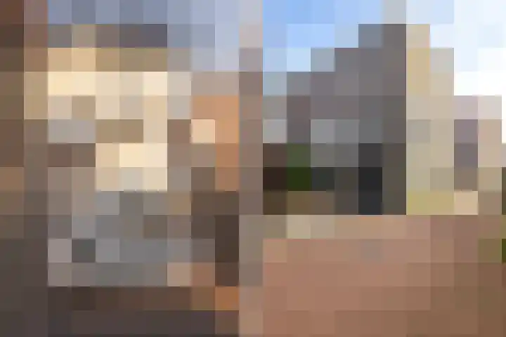 Werf van Montan 2 Dordrecht thumbnail 7