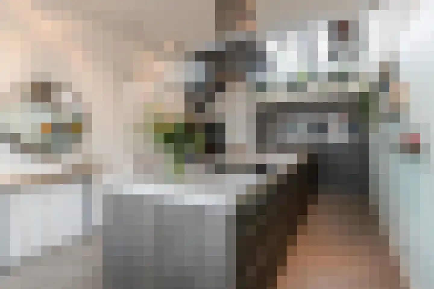 Werf van Schouten 100 Dordrecht thumbnail 10