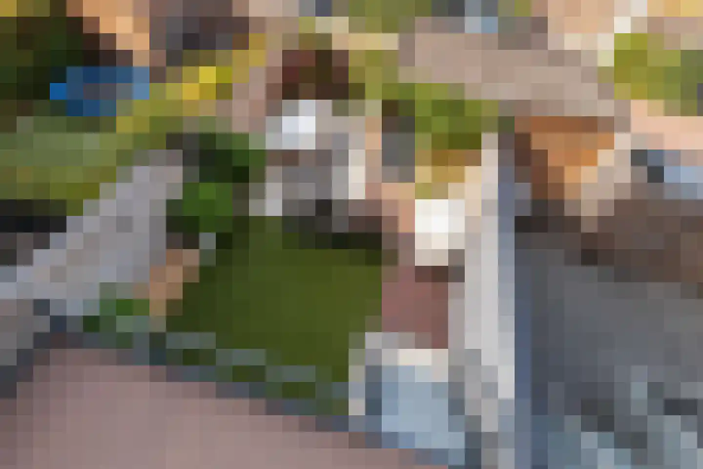 Werf van Schouten 100 Dordrecht thumbnail 4