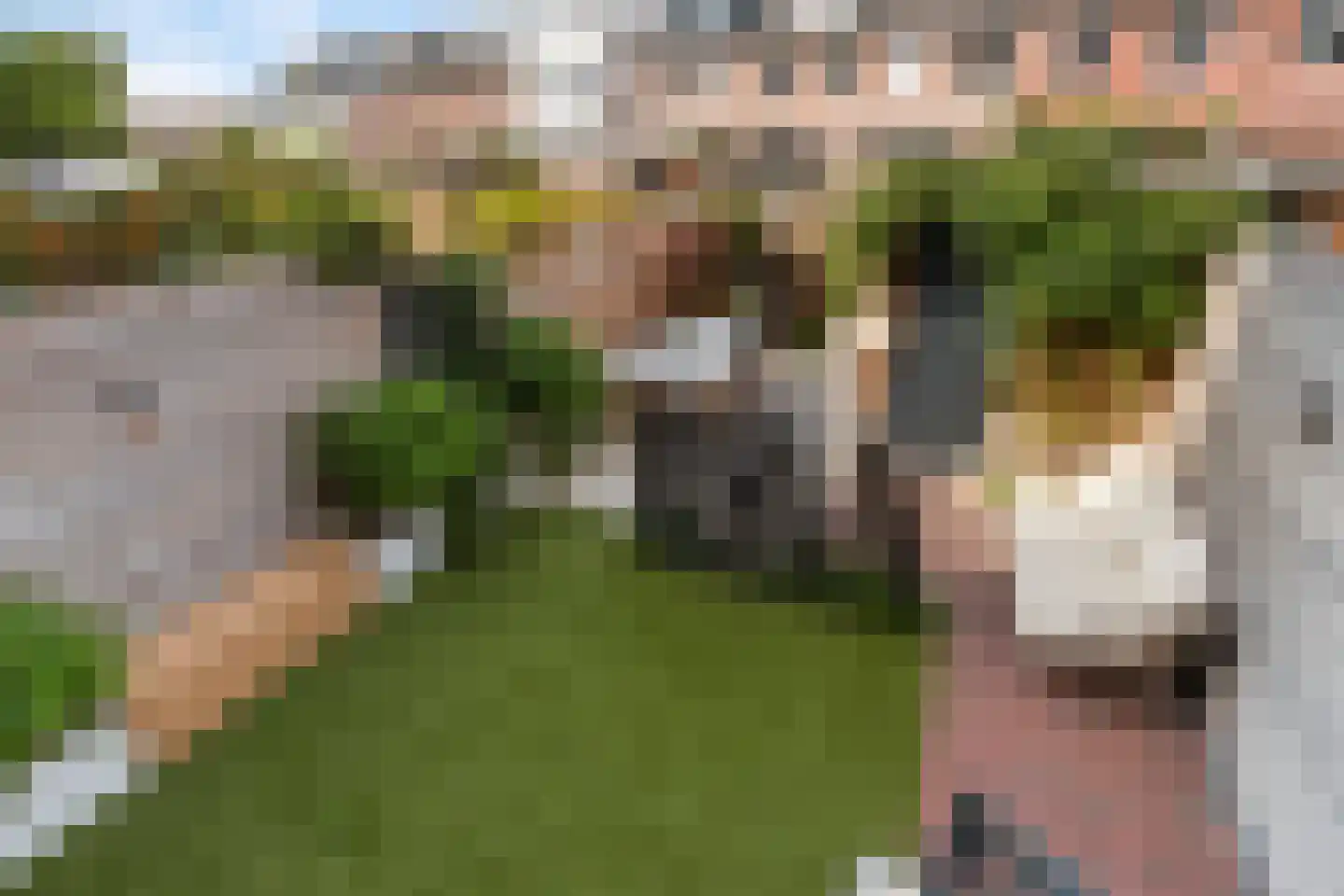 Werf van Schouten 100 Dordrecht thumbnail 53
