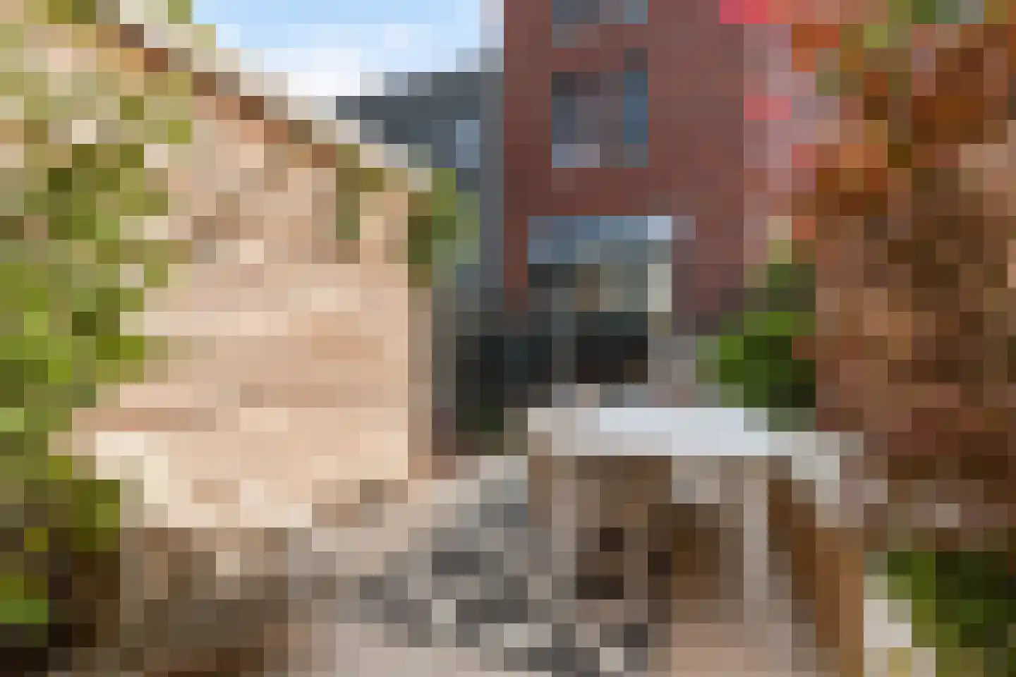 Werf van Schouten 100 Dordrecht thumbnail 58