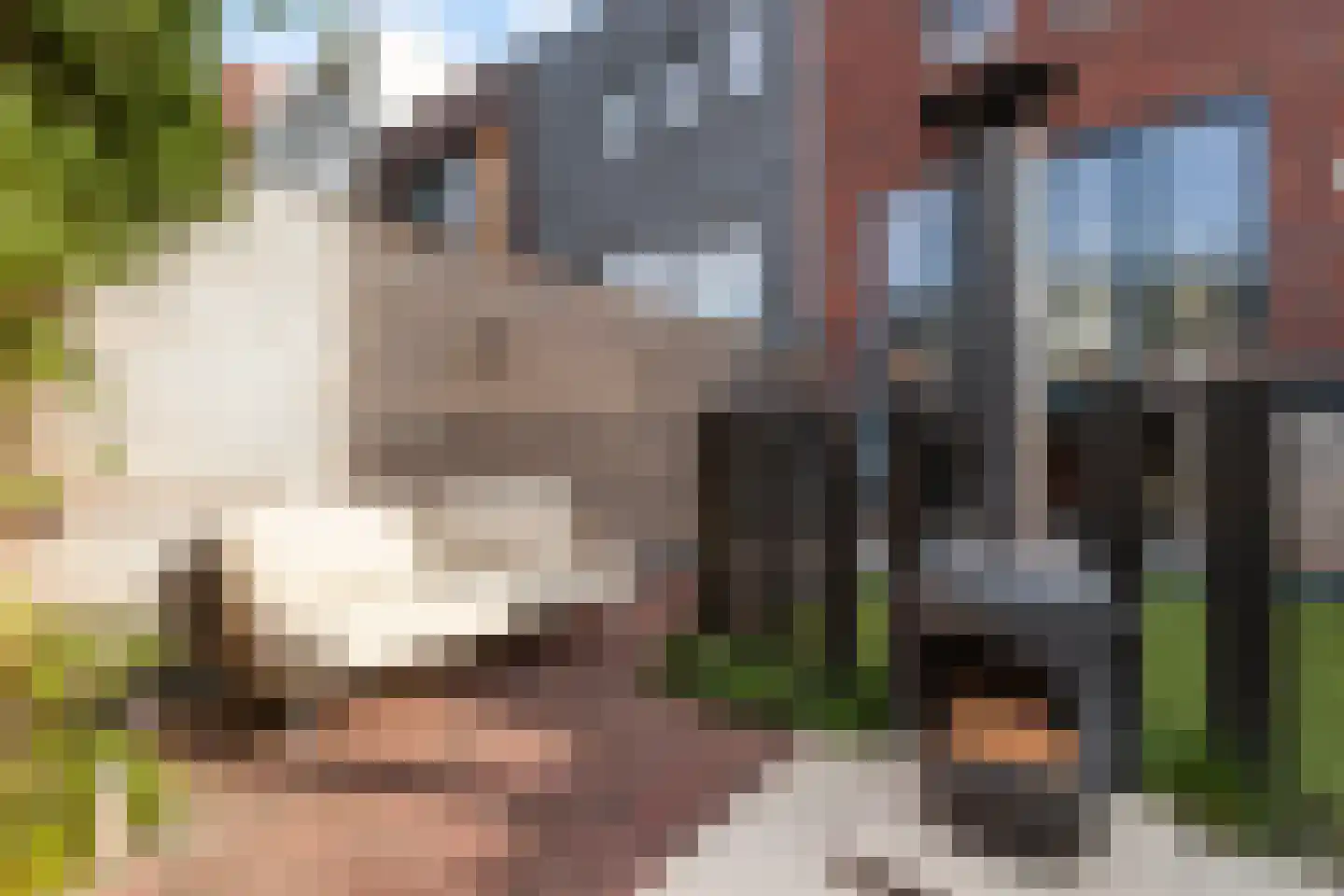 Werf van Schouten 100 Dordrecht thumbnail 61