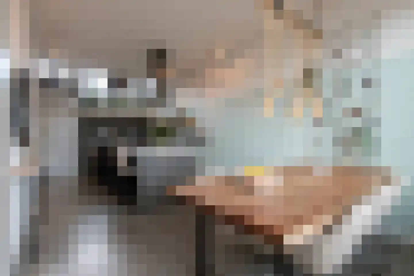 Werf van Schouten 100 Dordrecht thumbnail 7