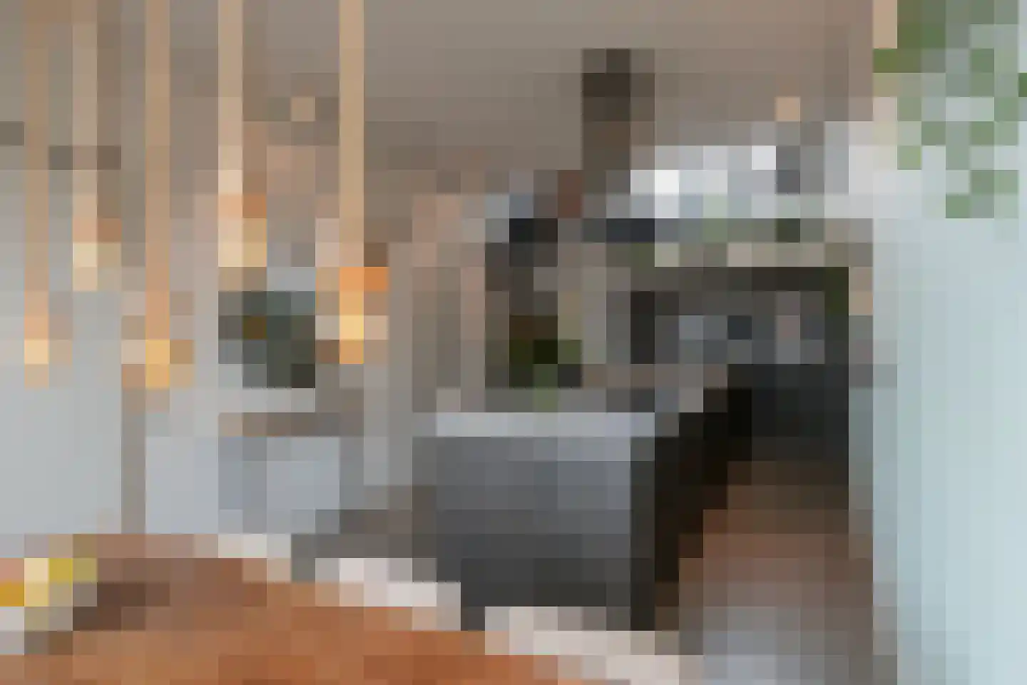 Werf van Schouten 100 Dordrecht thumbnail 8