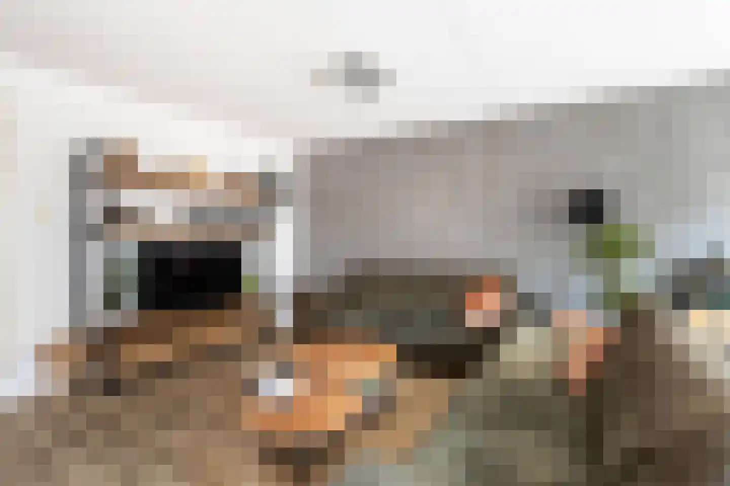 Werf van Schouten 134 Dordrecht thumbnail 8
