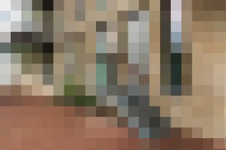 Werf van Schouten 164 Dordrecht thumbnail 8