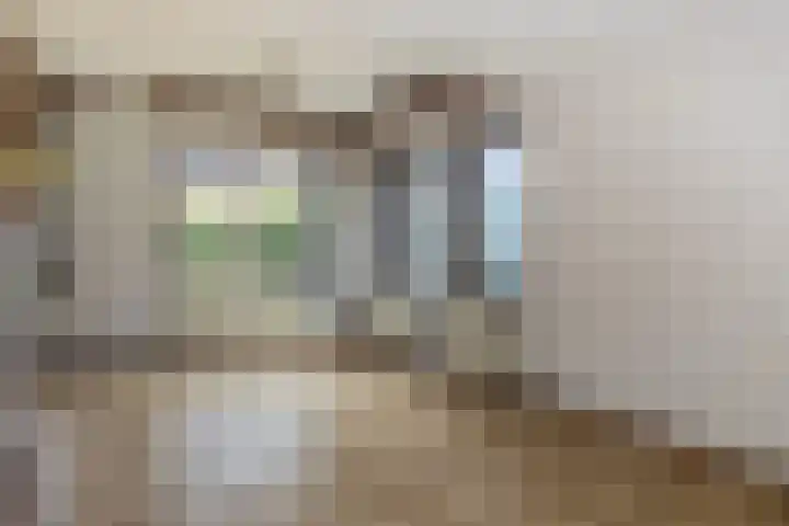 Werfakkerweg 66 Eerbeek thumbnail 13