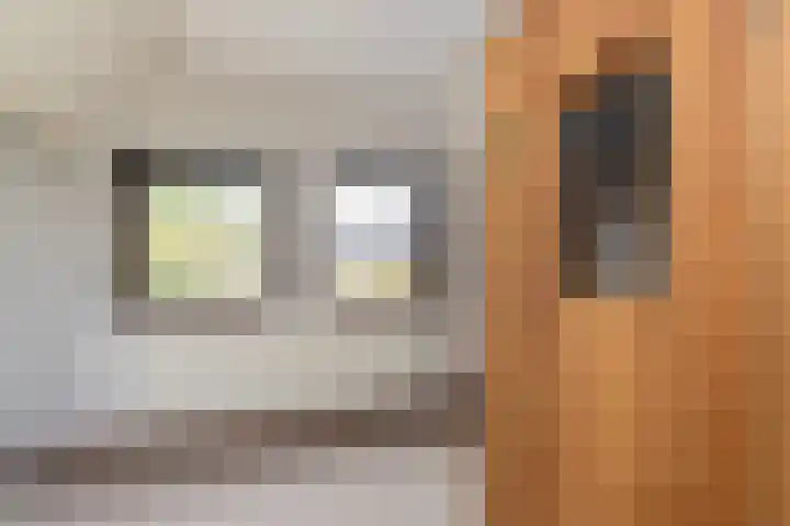 Werfakkerweg 66 Eerbeek thumbnail 19