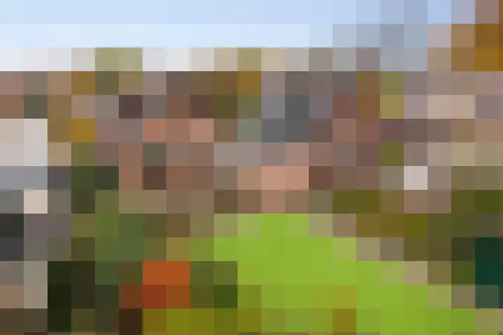 Werfakkerweg 66 Eerbeek thumbnail 24