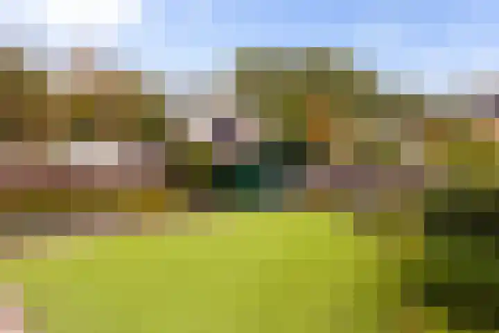 Werfakkerweg 66 Eerbeek thumbnail 26