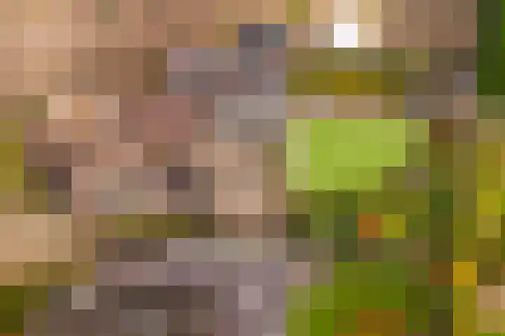 Werfakkerweg 66 Eerbeek thumbnail 27
