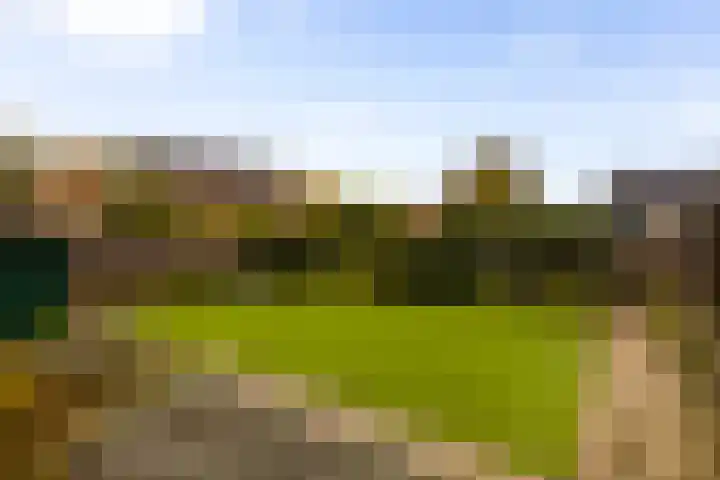 Werfakkerweg 66 Eerbeek thumbnail 5