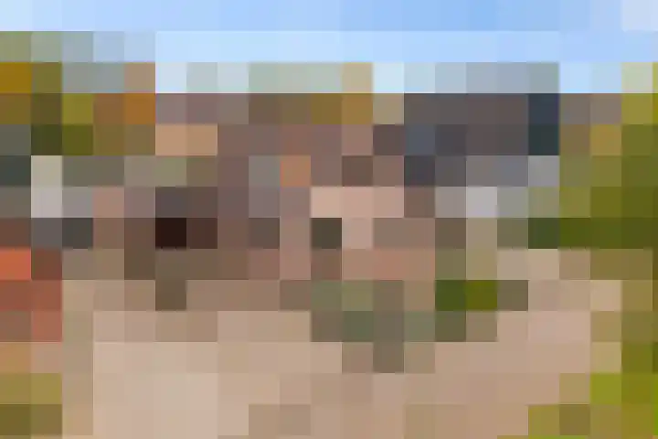 Werfakkerweg 66 Eerbeek thumbnail 6