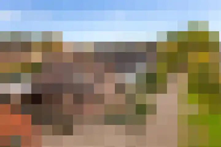 Werfakkerweg 66 Eerbeek thumbnail 7