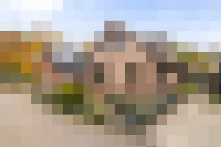 Werfakkerweg 66 Eerbeek thumbnail 8