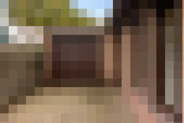 Werfakkerweg 66 Eerbeek thumbnail 9