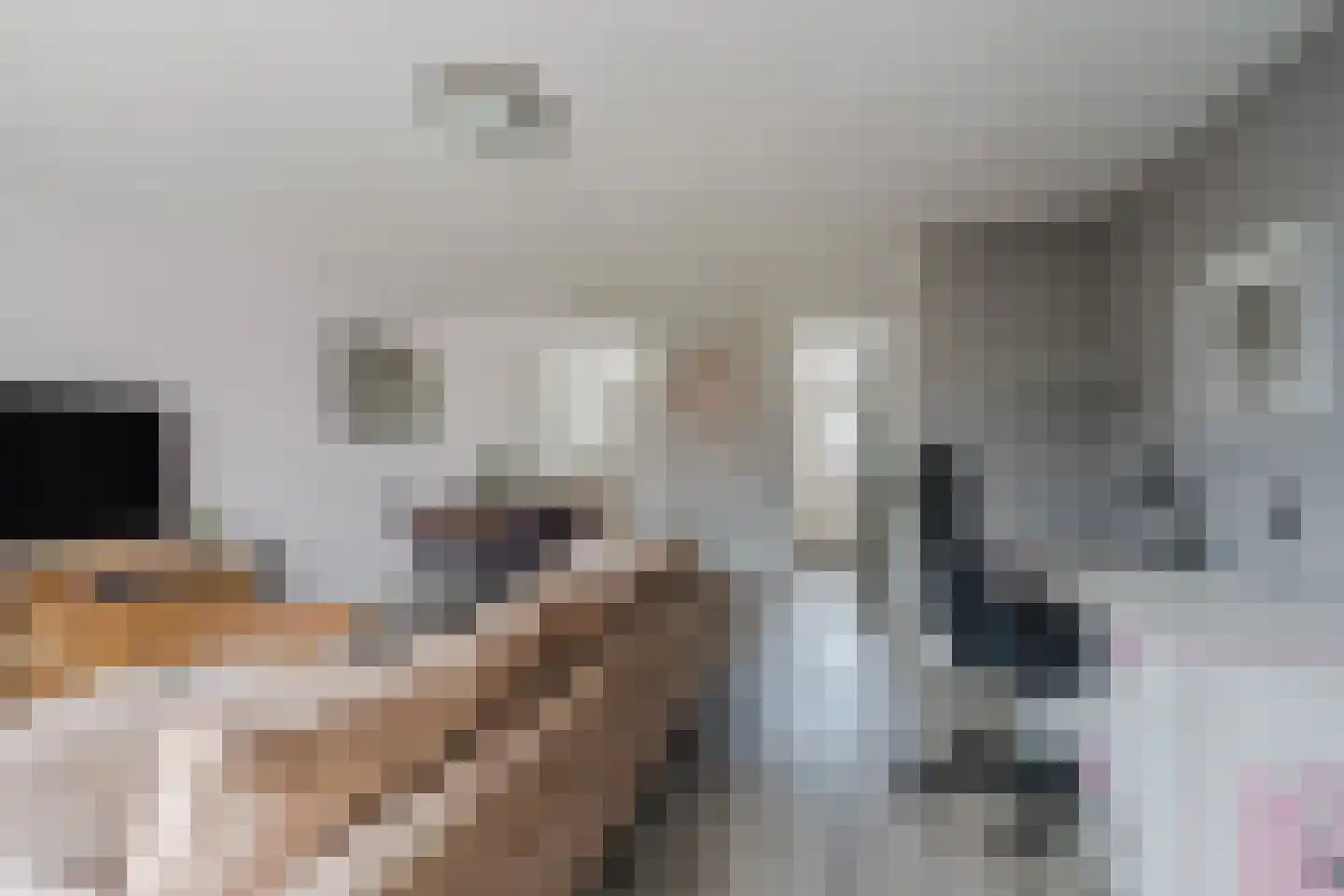 Werfberg 15 Veldhoven thumbnail 13