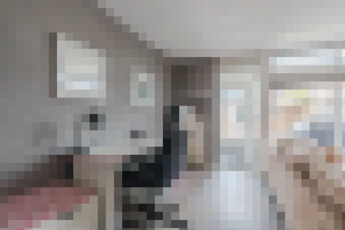 Werfberg 15 Veldhoven thumbnail 14