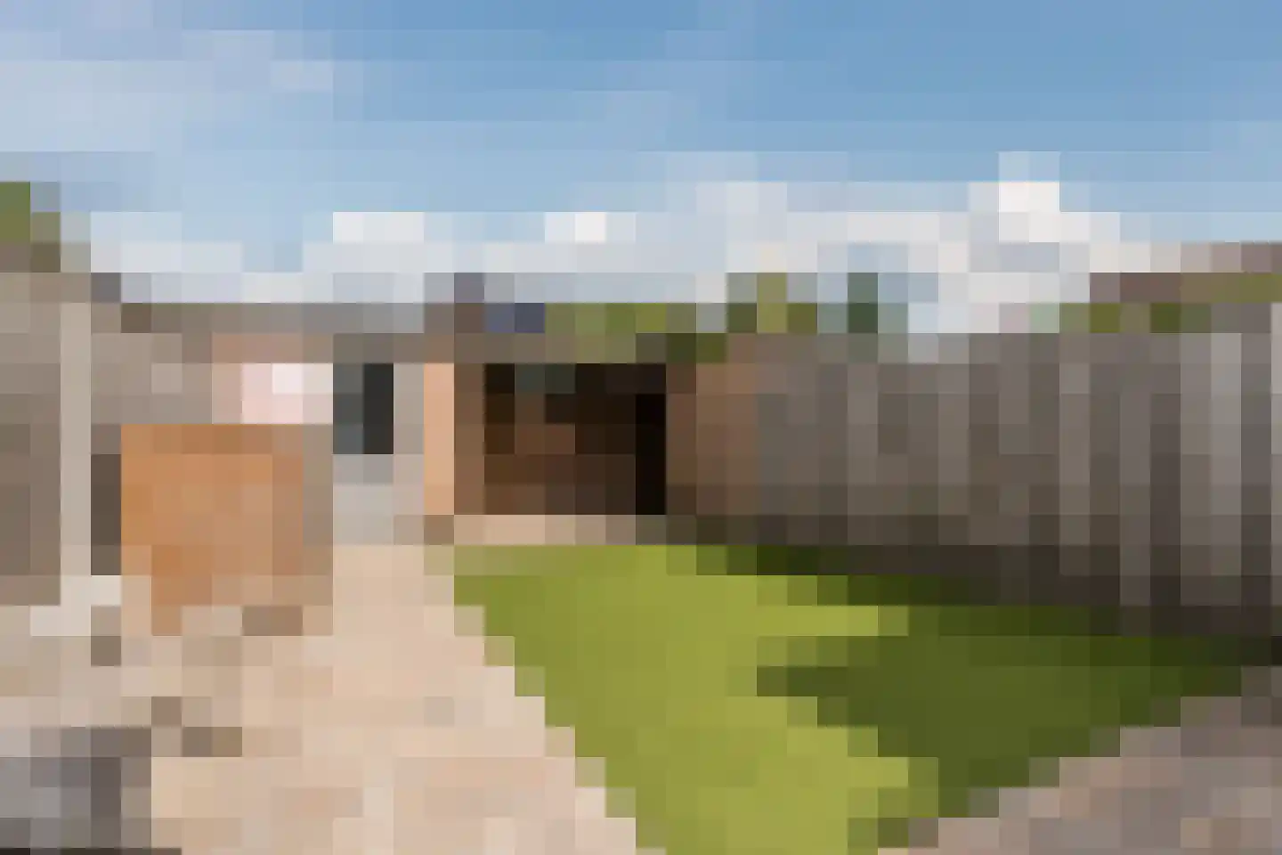 Werfberg 15 Veldhoven thumbnail 16