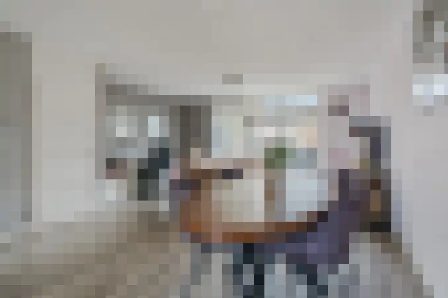Werfberg 15 Veldhoven thumbnail 22