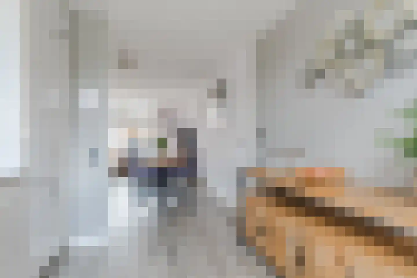 Werfberg 15 Veldhoven thumbnail 28