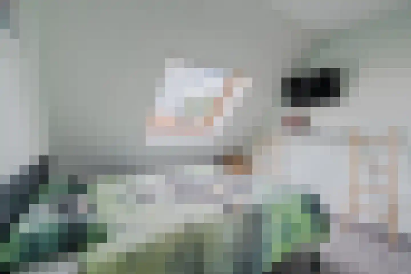 Werfberg 15 Veldhoven thumbnail 34