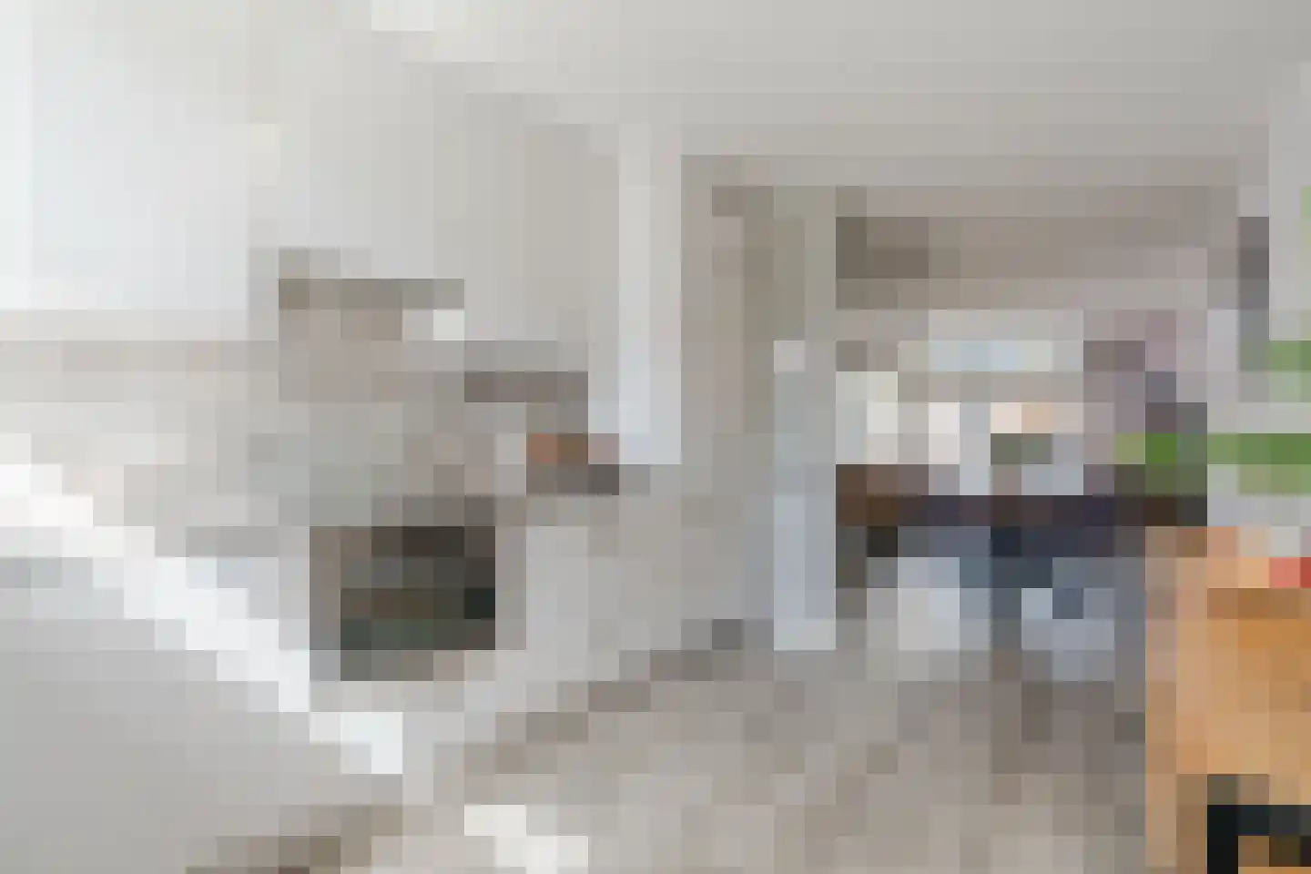 Werfberg 15 Veldhoven thumbnail 4
