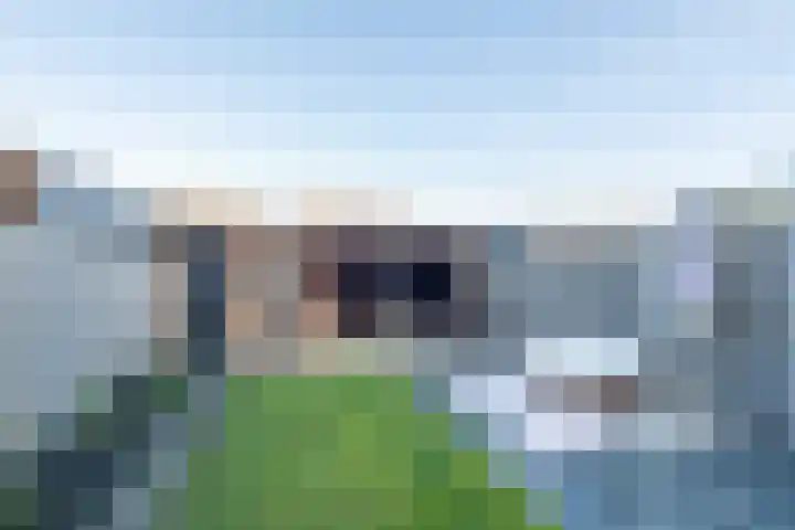 Werfhof 6 Heerhugowaard thumbnail 37