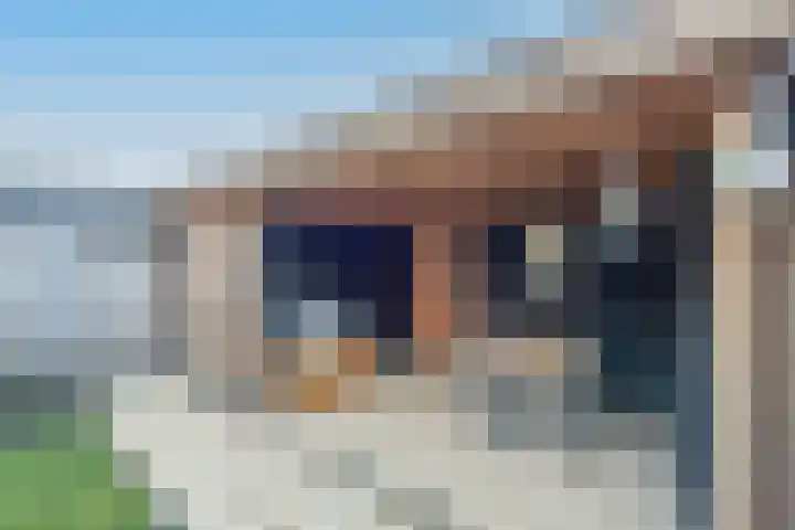 Werfhof 6 Heerhugowaard thumbnail 39