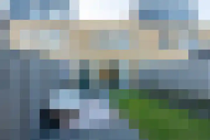 Werfhof 6 Heerhugowaard thumbnail 40