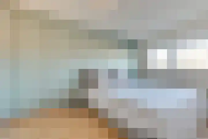 Werfhof 6 Heerhugowaard thumbnail 5