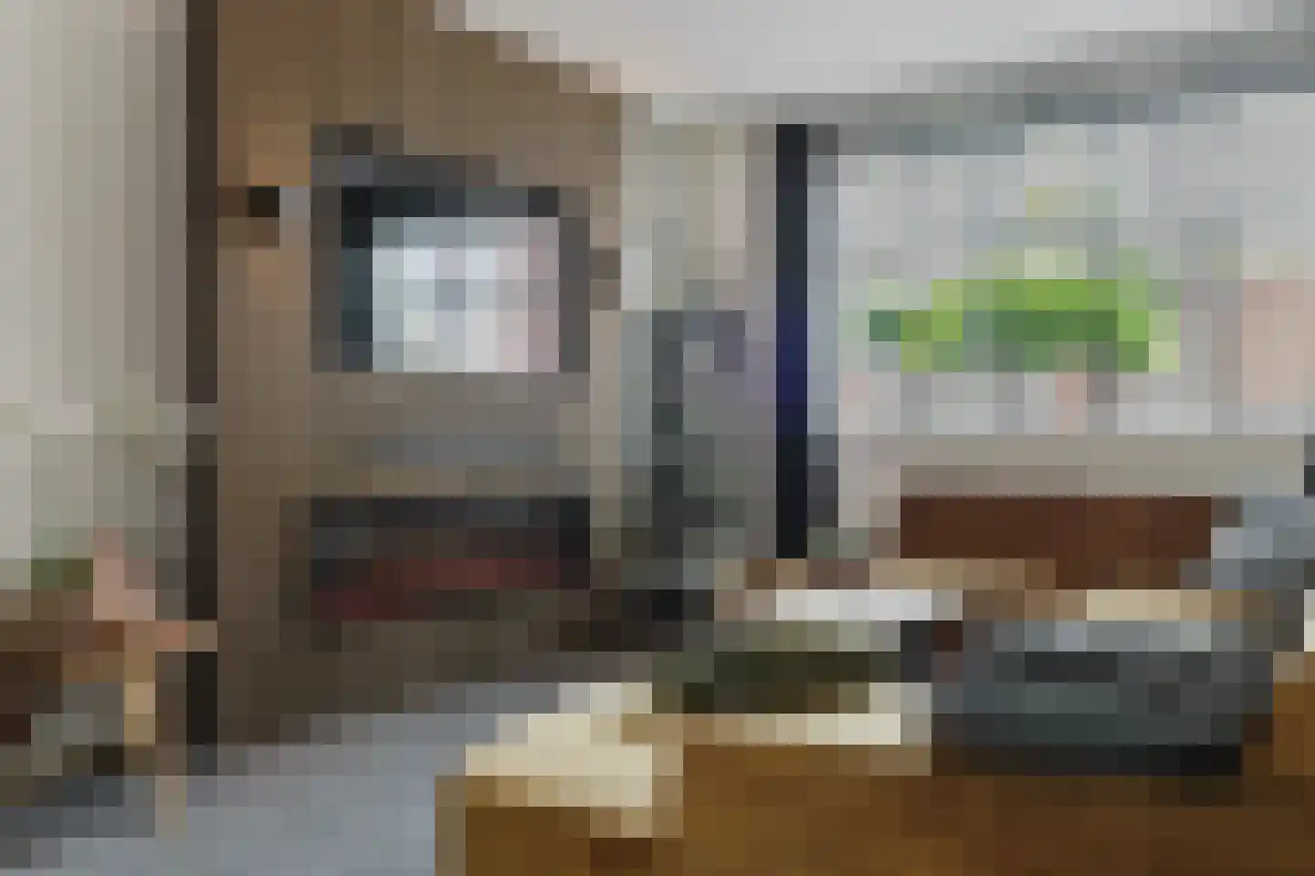 Werfhof 7 Zundert thumbnail 15