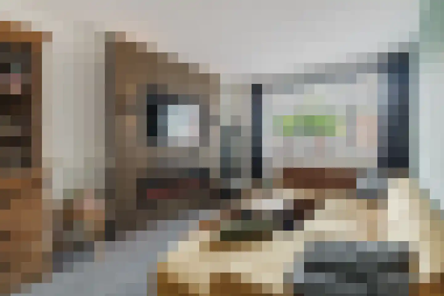Werfhof 7 Zundert thumbnail 17