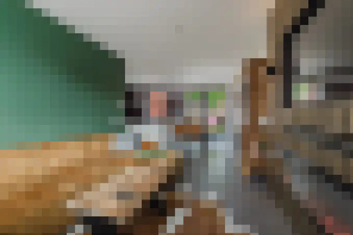 Werfhof 7 Zundert thumbnail 21