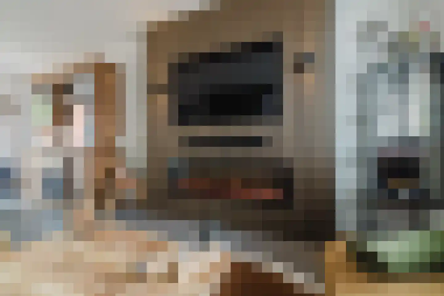 Werfhof 7 Zundert thumbnail 22