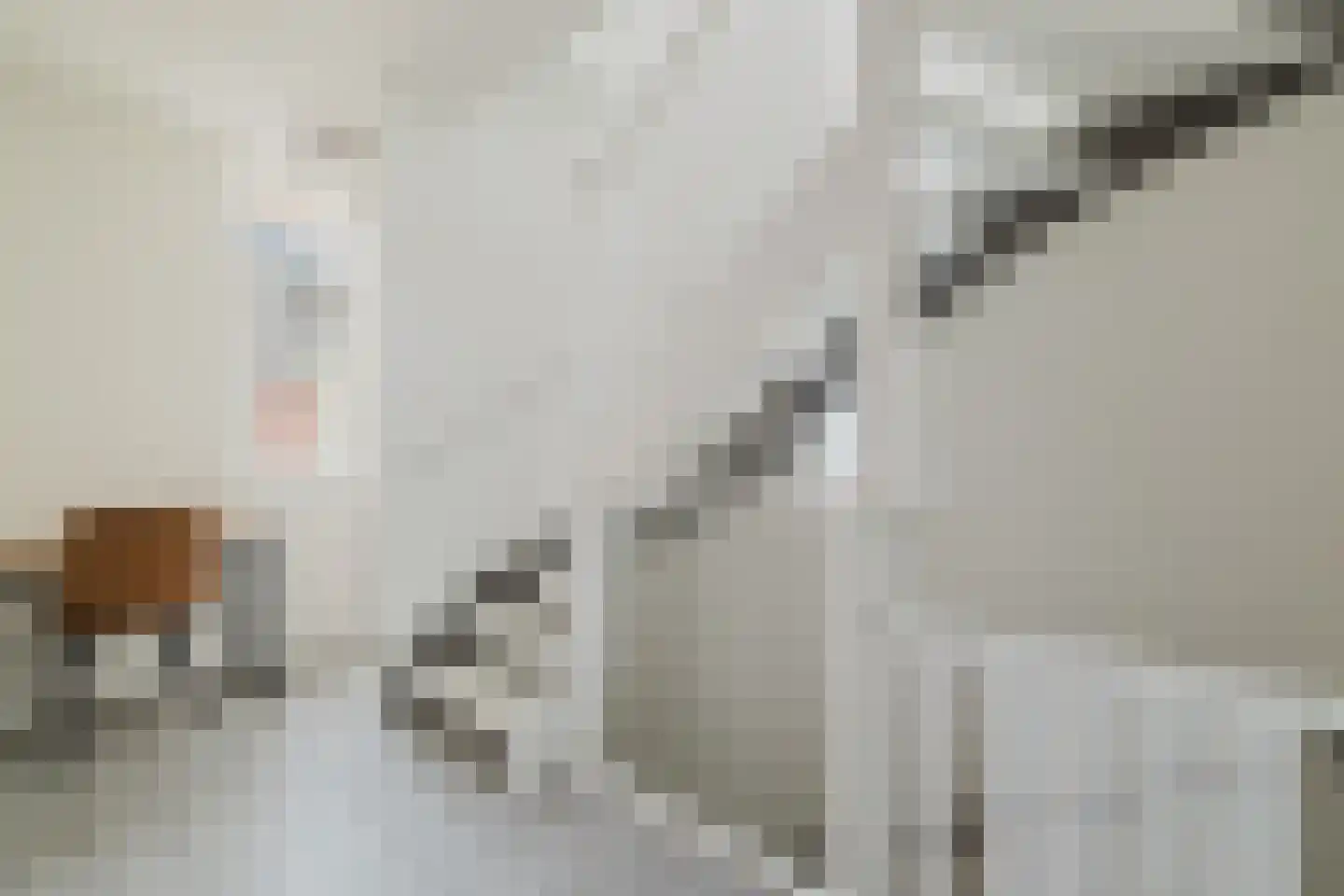 Werfhof 7 Zundert thumbnail 23