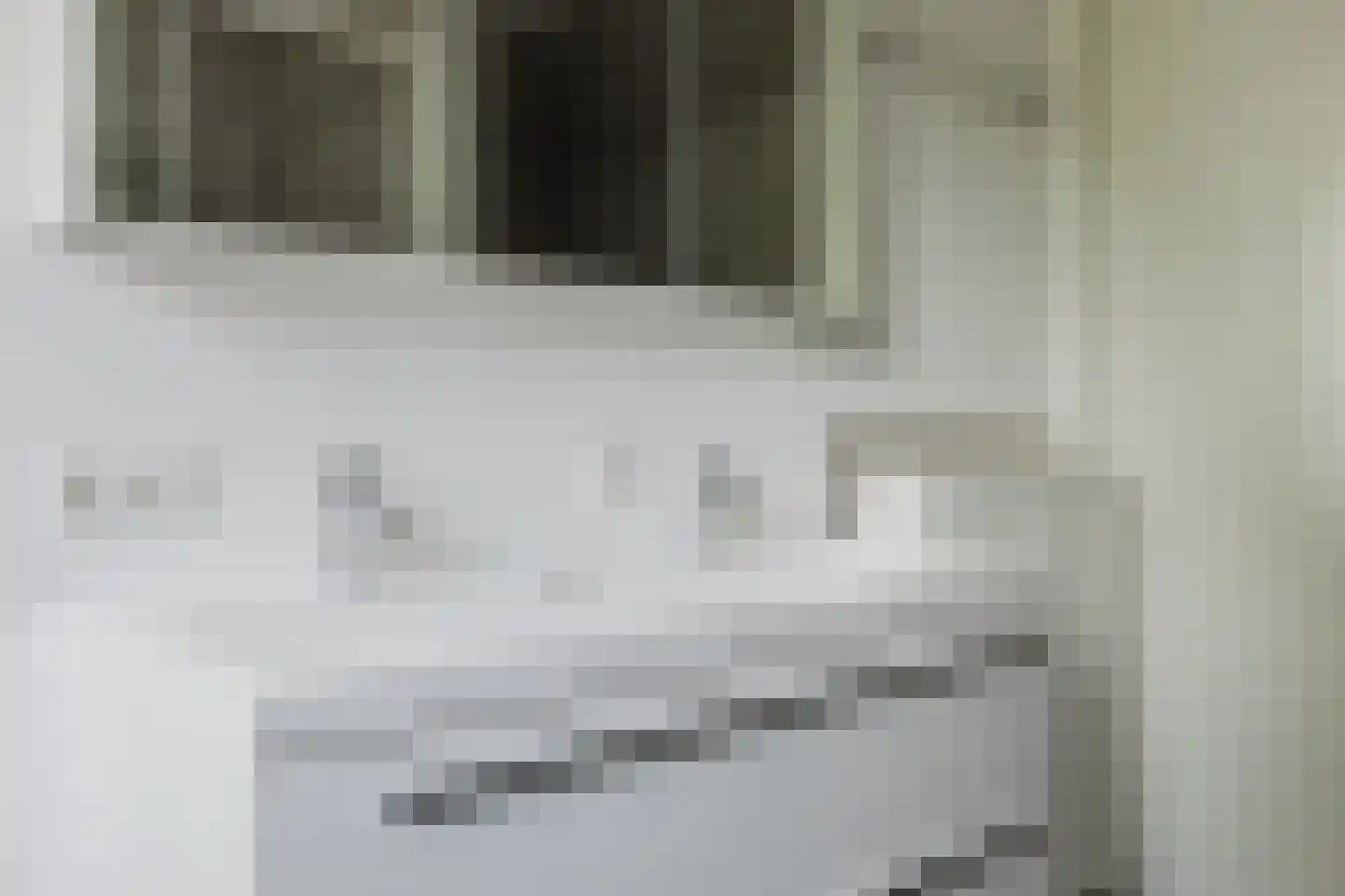 Werfhof 7 Zundert thumbnail 31