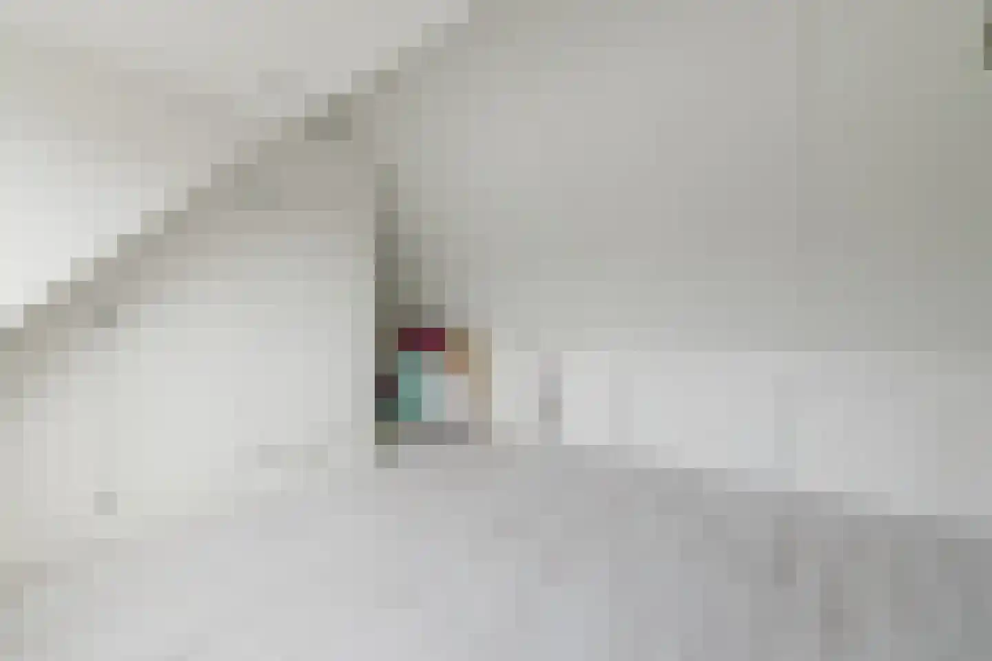 Werfhof 7 Zundert thumbnail 34