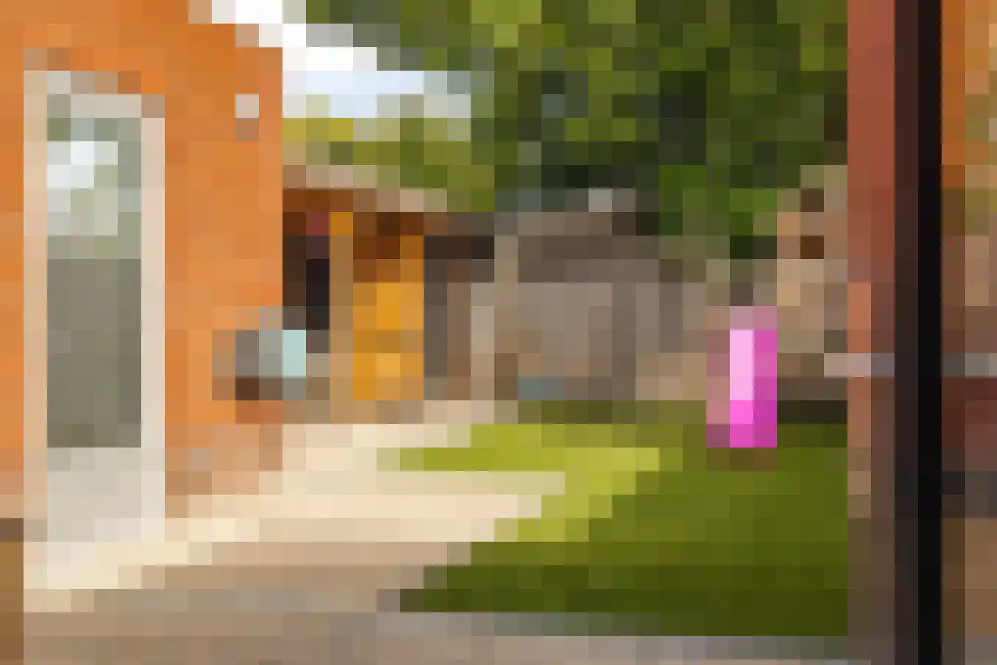 Werfhof 7 Zundert thumbnail 35