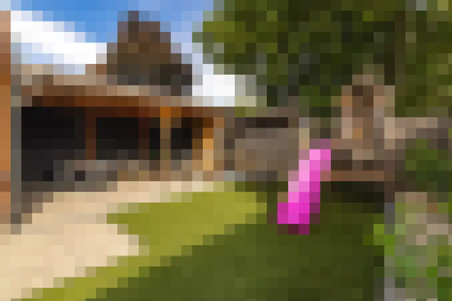 Werfhof 7 Zundert thumbnail 37
