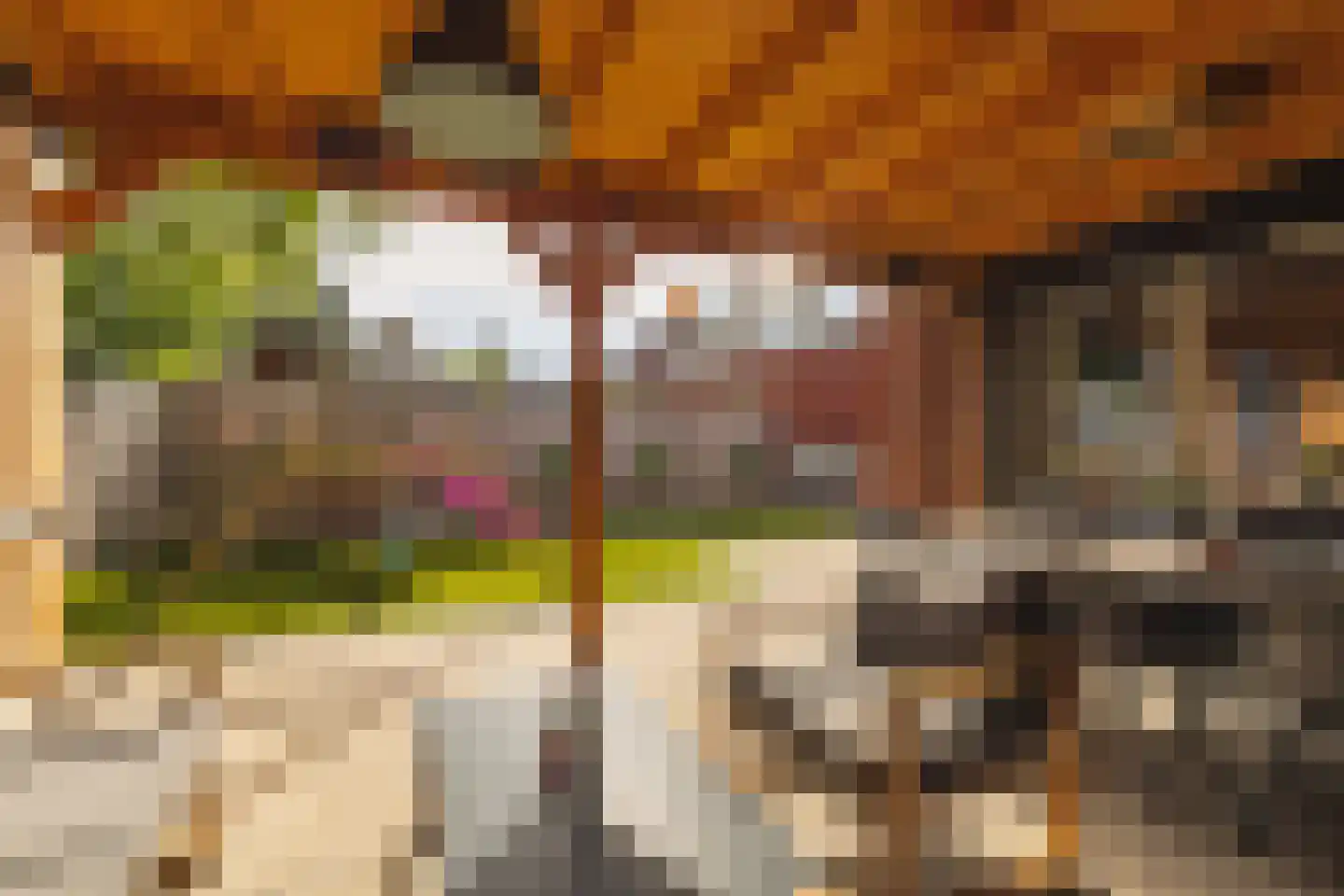 Werfhof 7 Zundert thumbnail 39