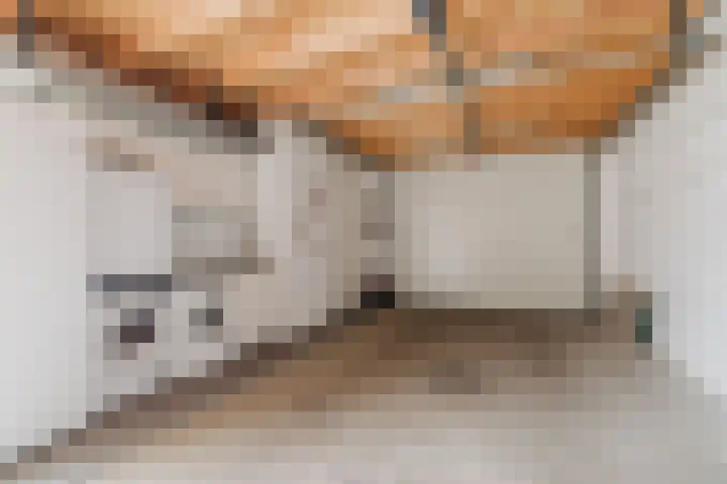 Werfhof 7 Zundert thumbnail 41