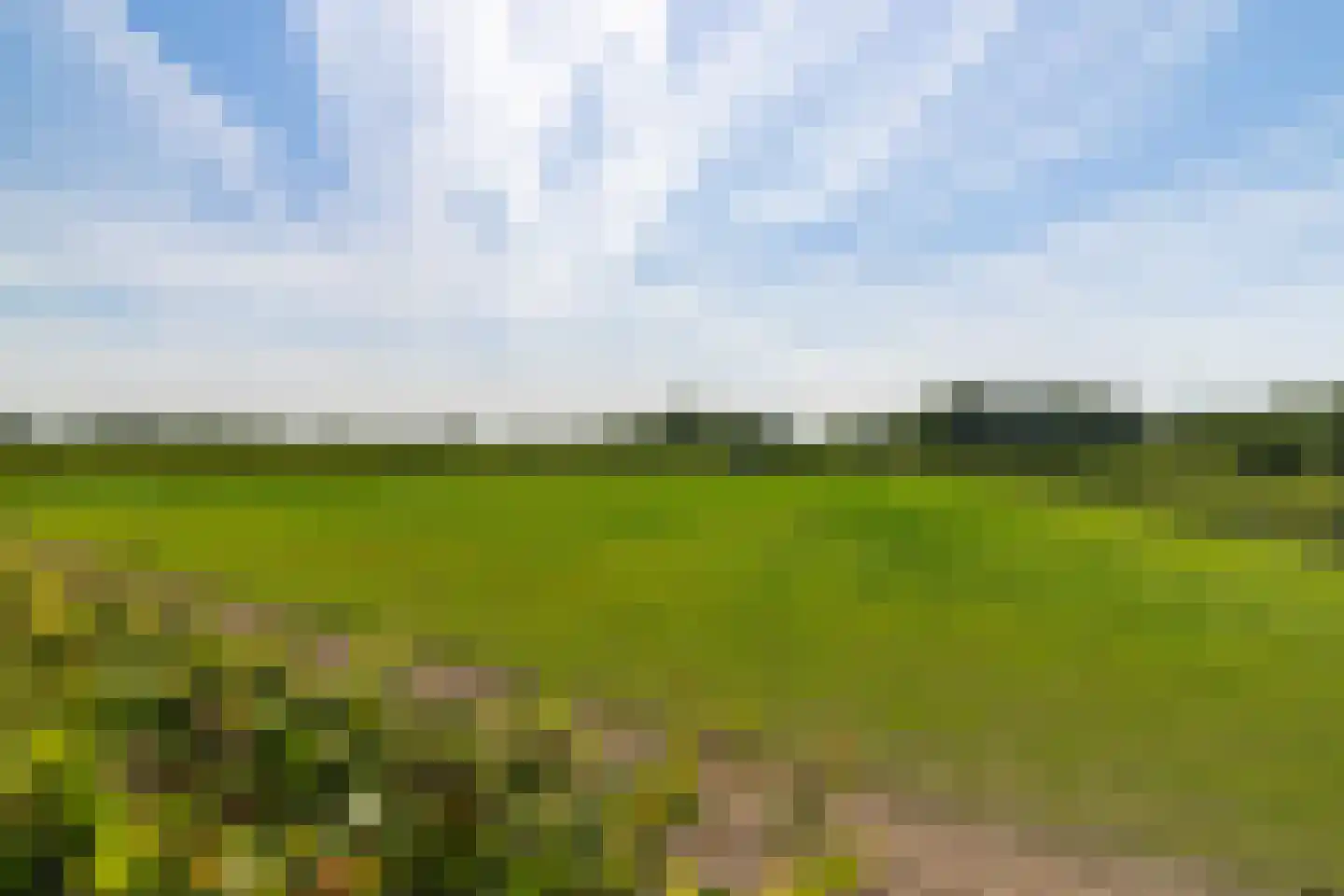 Werfhof 7 Zundert thumbnail 45