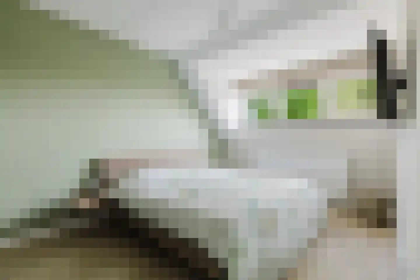 Werfhof 9 Zundert thumbnail 18